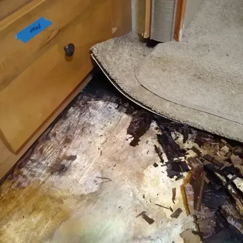 Best Wood Floor Water Damage Service in Bryant, WA